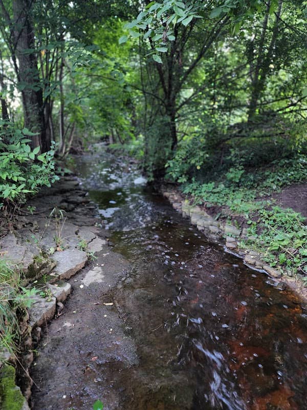 Village Park - Image 2