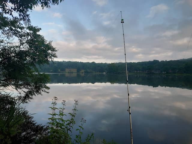 Lackawanna state park - Image 1