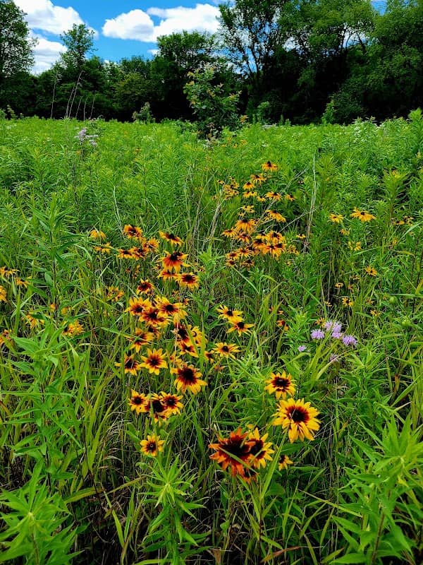 Fox River Bluffs Forest Preserve - Image 2