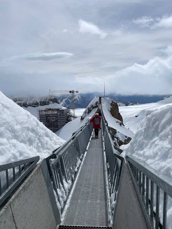 Peak Walk By Tissot - Image 3