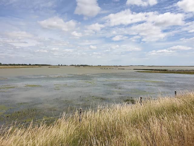 Wallasea Island Wild Coast project - Image 1