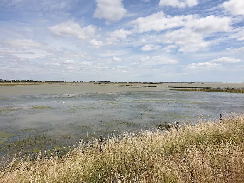 Wallasea Island Wild Coast project - Image 1