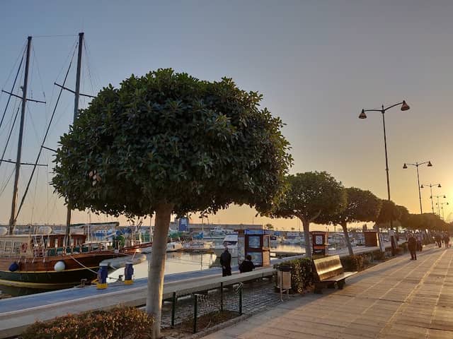 Cambrils Passeig De Les Palmeres - Image 1