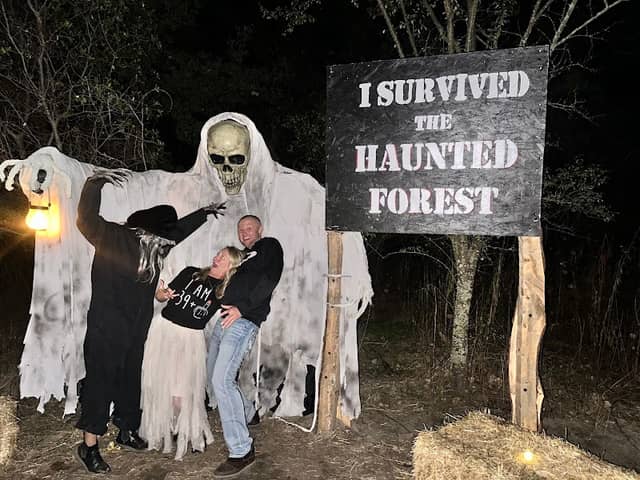 Haunted Forest CA - Image 1