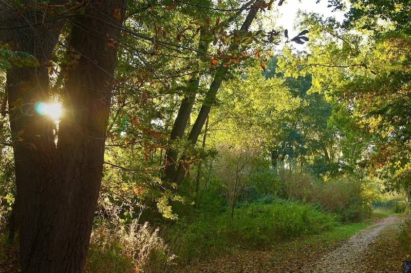 Wanderweg zum schwarzen Leuchtturm - Image 1