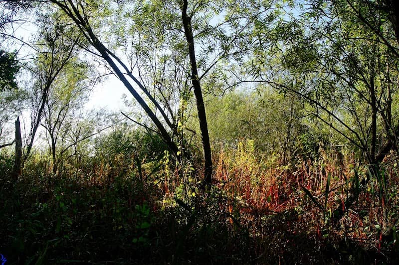 Wanderweg zum schwarzen Leuchtturm - Image 2
