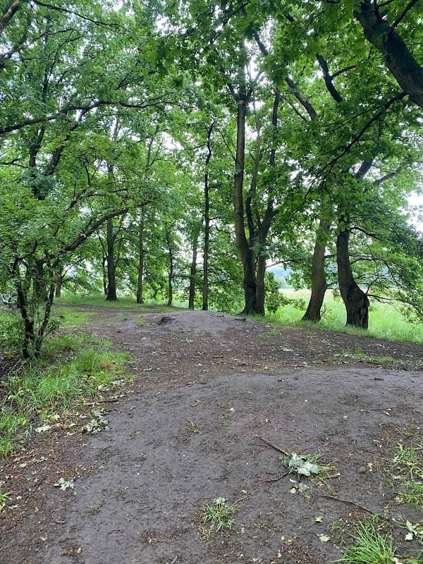 Pumptrack - Image 1