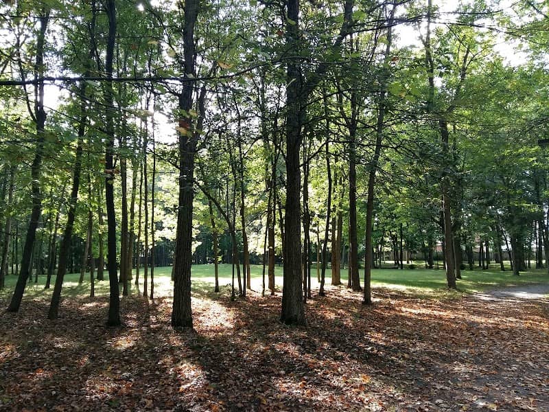Belcourt Park - Image 3