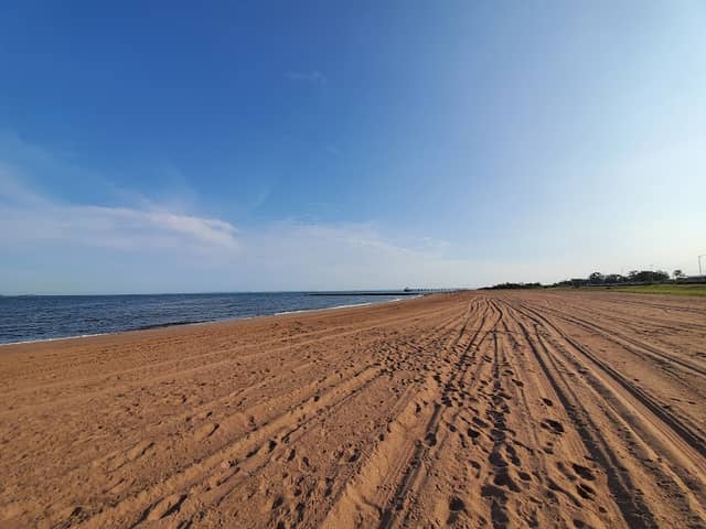 South Beach Wetlands - Image 4