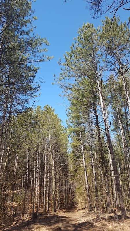 Durham East Cross Forest Conservation Area - Image 1