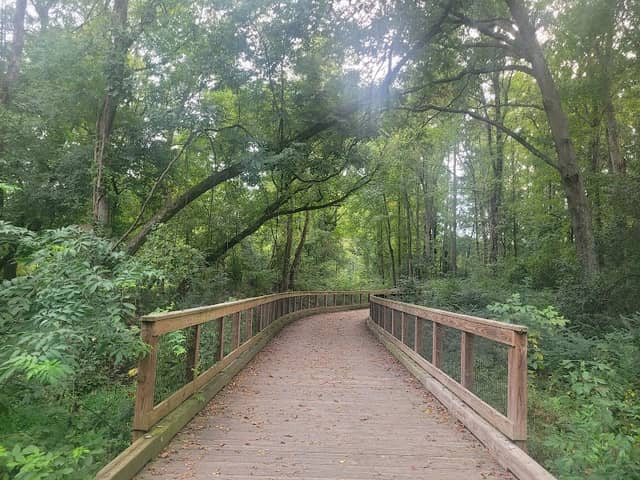 Lindsay Pettus Greenway (Forest Drive Entrance) - Image 1