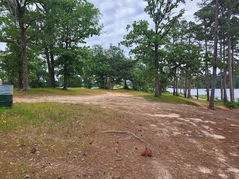The point at lake hawkins - Image 1