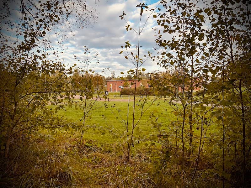 Köysirata - Image 2