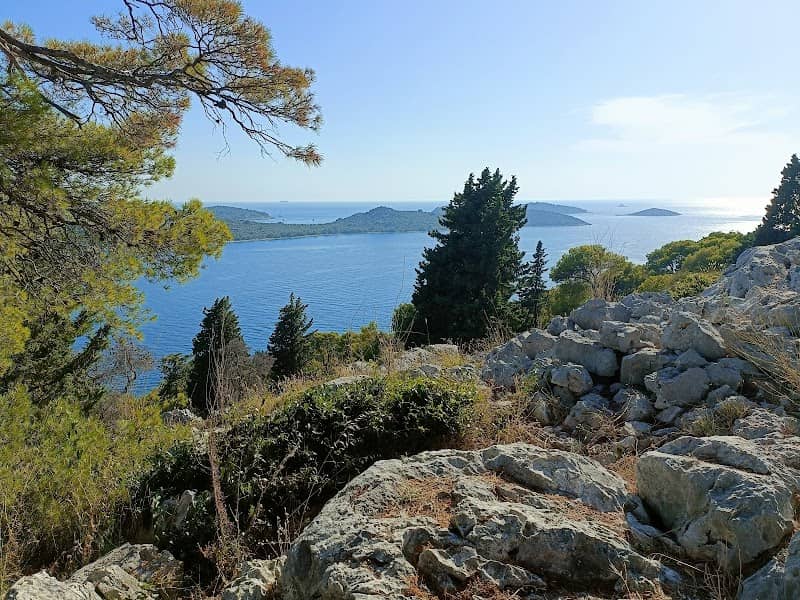 Kopara - nature - Image 1