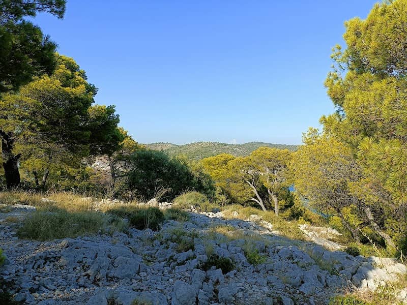 Kopara - nature - Image 3