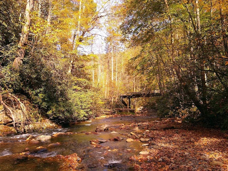 Cover Trail #74 - Image 1