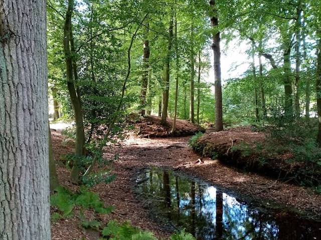 Fogelsanghstate - Image 2