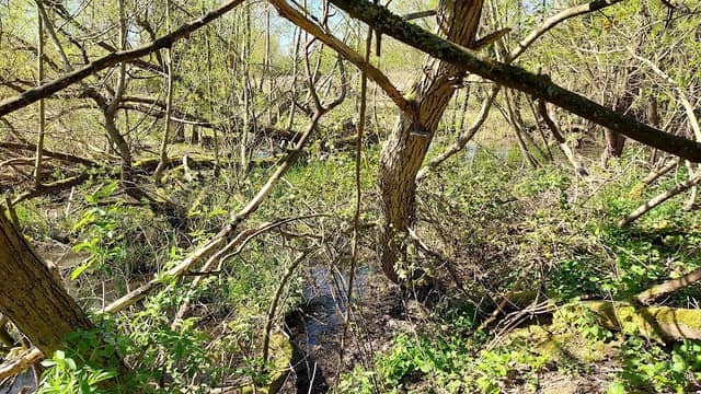 Wolvercote Goose Green - Image 2