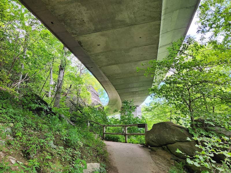 Linn Cove Viaduct - Image 3