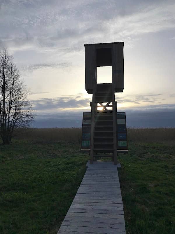 Birds Observatory - Image 2
