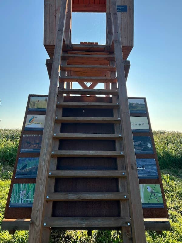 Birds Observatory - Image 1