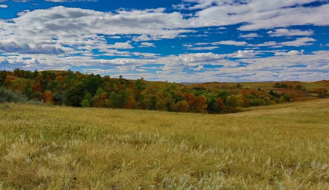 Achenbach Trail - Image 2