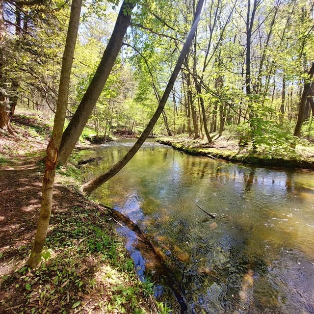 Brook Conservation Area - Image 1