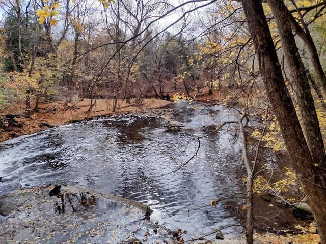 Brook Conservation Area - Image 2