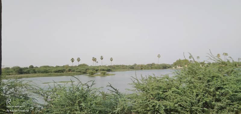 Palm Avenue - Image 2