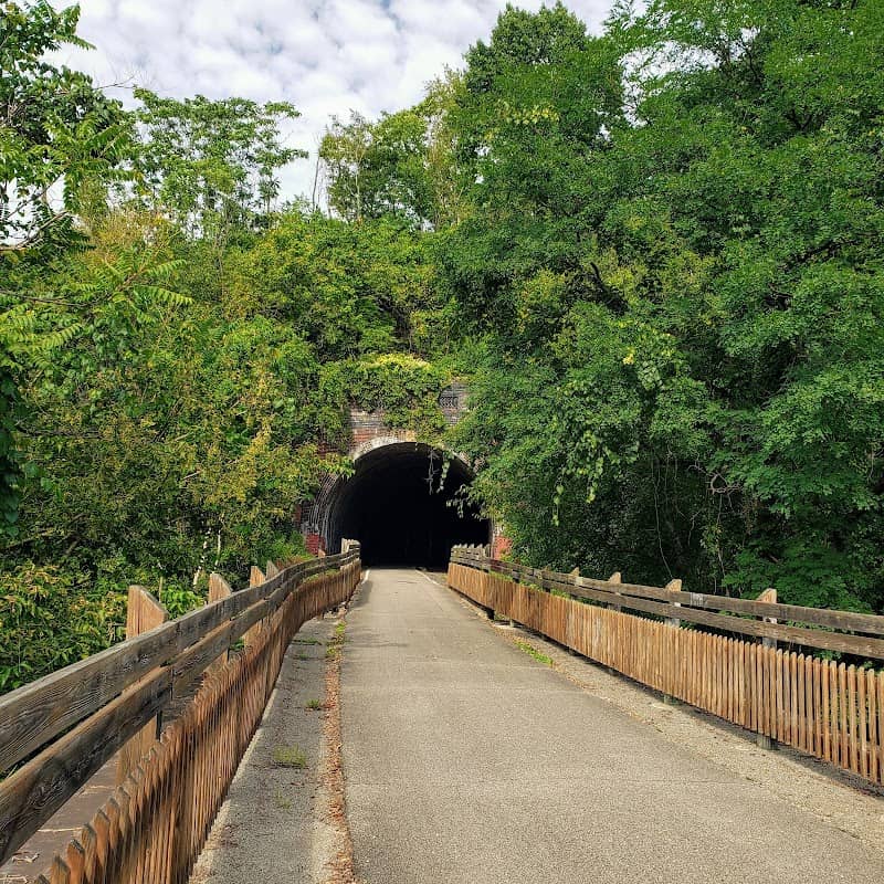 Tunnel Green - Image 1