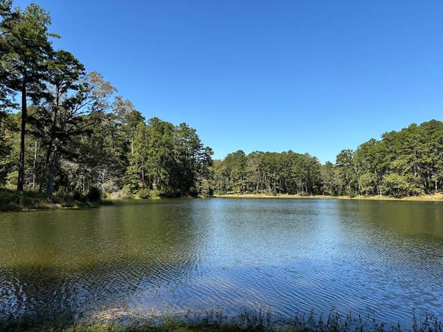 Golden Memorial State Park - Image 1