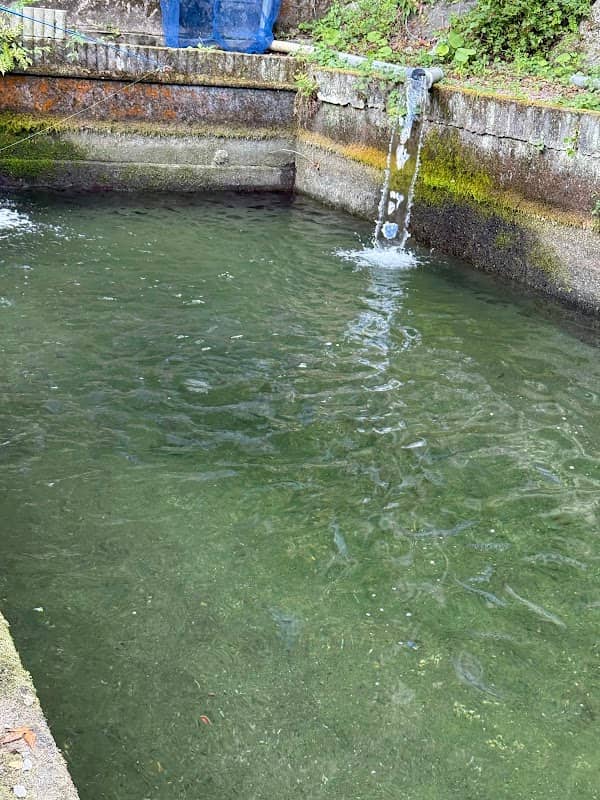 Worlds Smallest Fishing Pond - Image 1