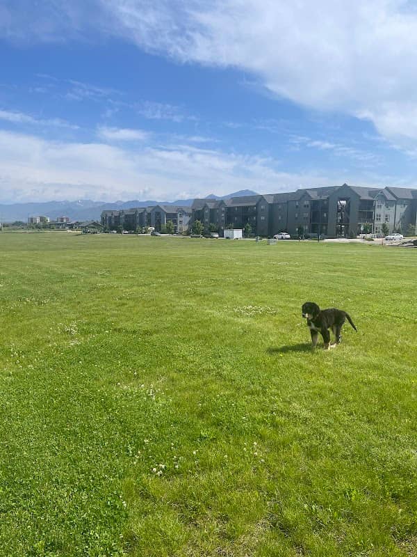 City Park 2 - Image 1