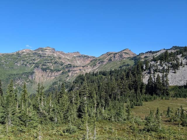 Lily Basin - Image 1