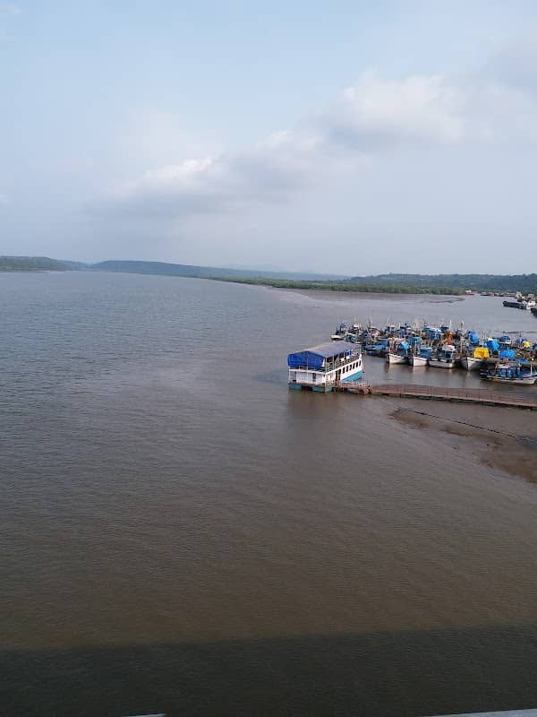 Crocodile Station Kamat Kingfisher - Image 1