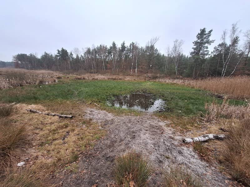 Torfy Rembertowskie - Image 2