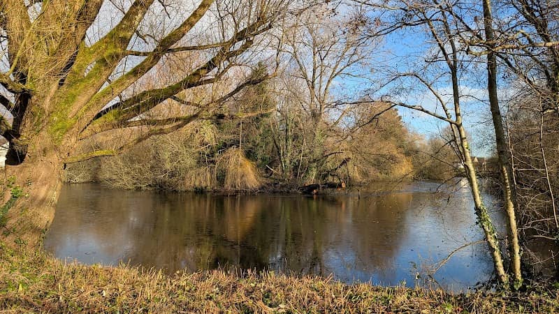 Glan Llyn - The Pools - Image 2