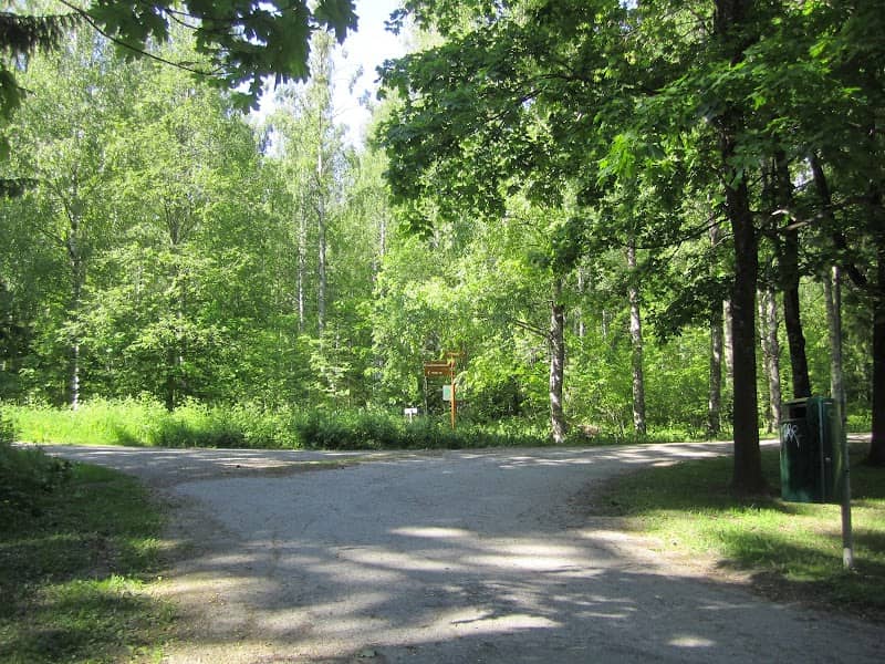 Suihkupuisto - Image 1
