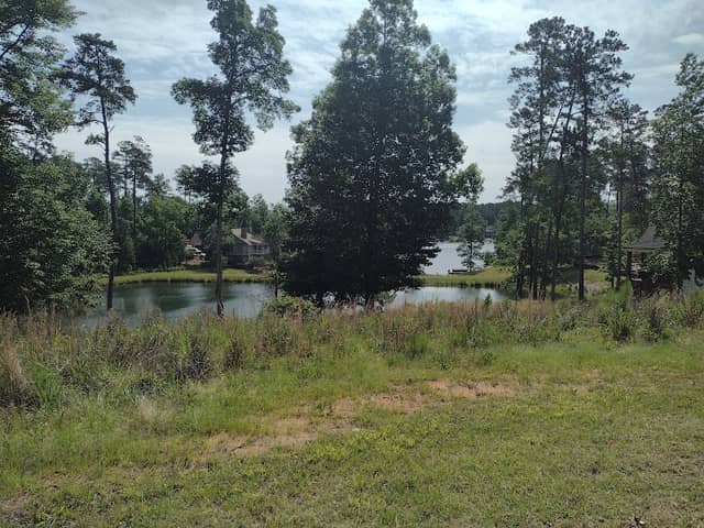 Osprey Pointe Pond - Image 1