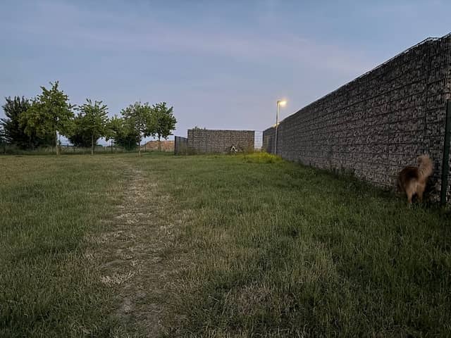 Hundewiese Rastplatz Köschinger Forst Ost - Image 1