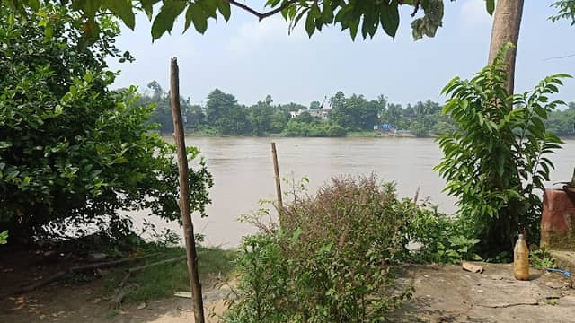 Danlop Char - Image 1