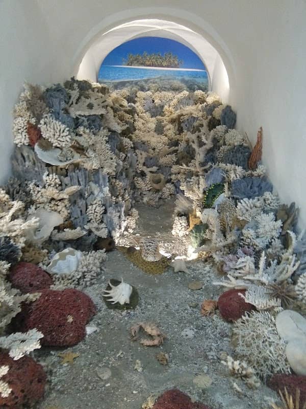 Museo Malacologico Malakos - Image 2