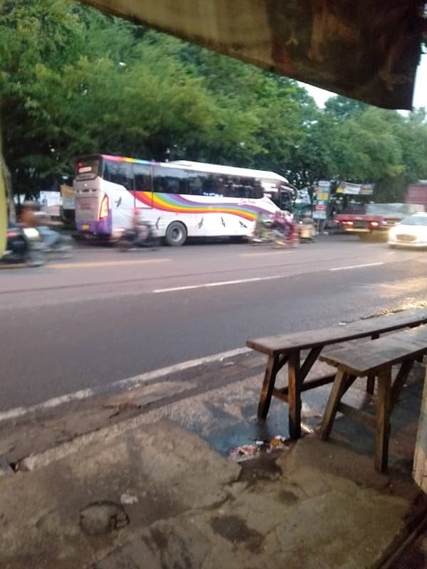 Taman Hutan Kota Lamongan - Image 1