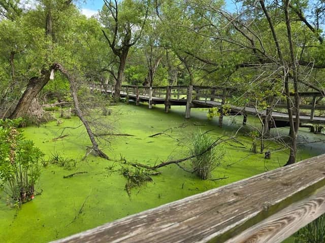 North Loop Campground - Image 2