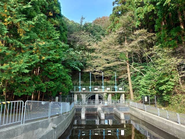 Saga Tunnel - Image 1