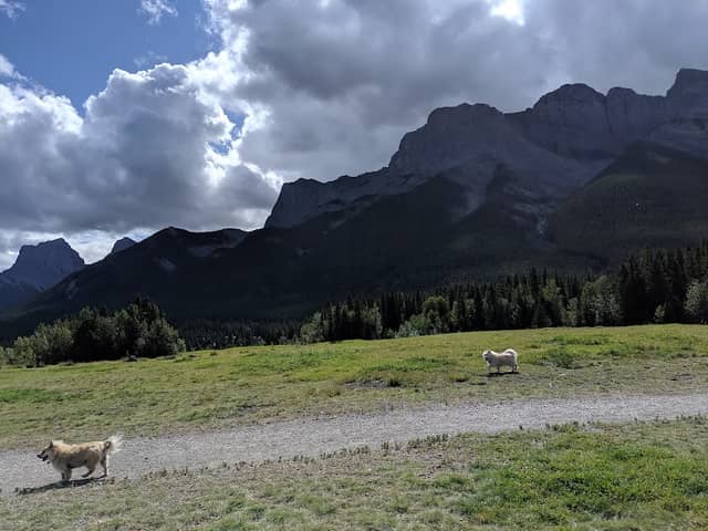 Quarry Lake Park - Image 1