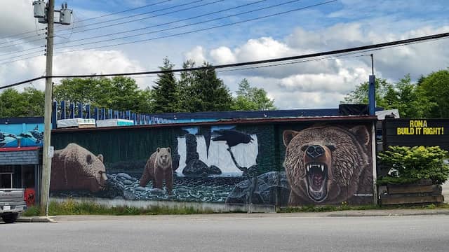 Bears mural - Image 2