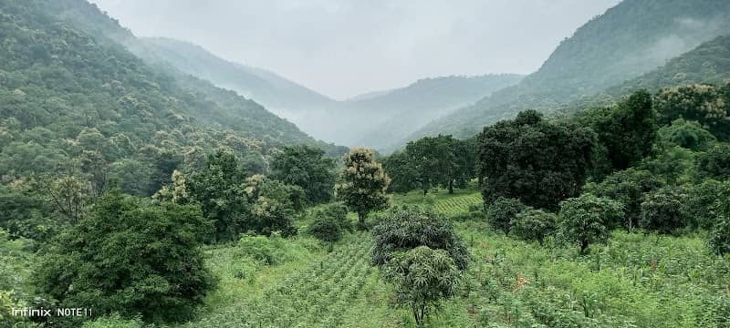 Dhandekar farms - Image 2