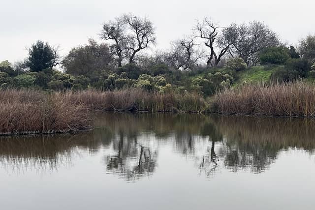 Cache Creek Nature Preserve - Image 1