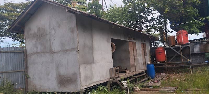 Batu damar kalbar - Image 1